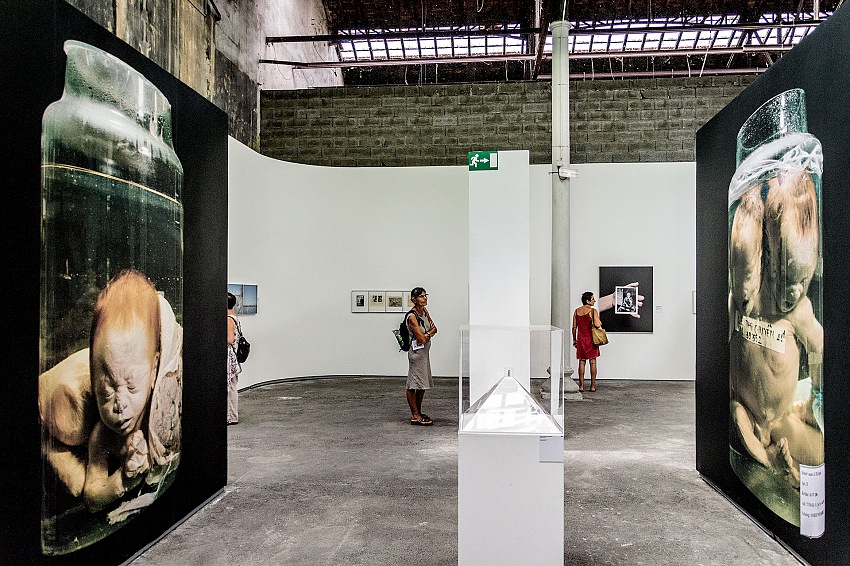 Un momento della visita alla mostra Monsanto: une enqute photographique di Mathieu Asselin, esposta al Magasin lectrique nell'ambito della sezione Dsordre du Monde ai Rencontres de la Photographie d'Arles 2017.  FPmag.