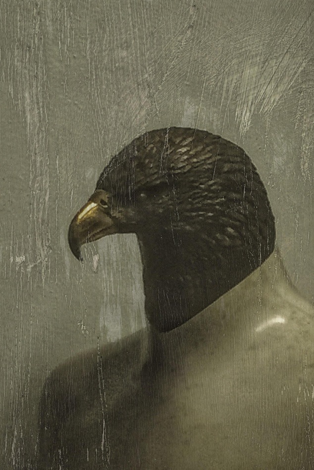 Bald Eagle Head Photograph by Christine Savino - Pixels