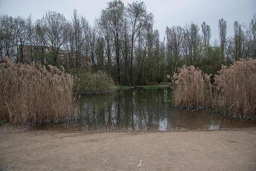 Pio Tarantini, Parco Nord, Milano.  Pio Tarantini.